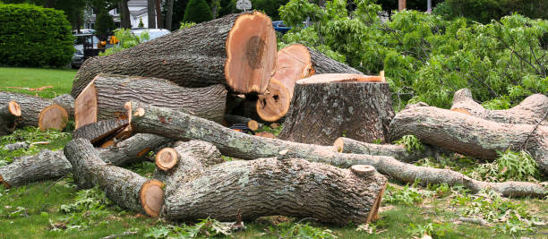 Best Firewood Processing and Delivery  in Grambling, LA